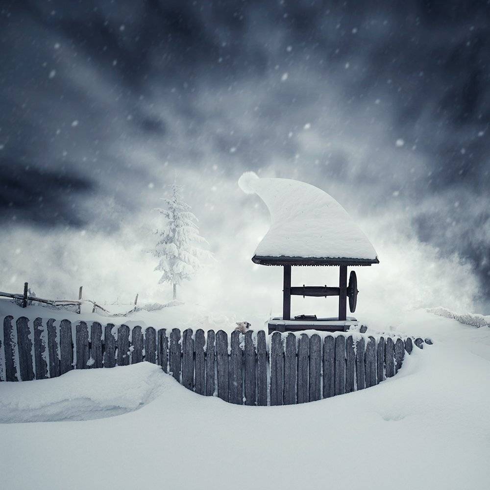 dog, ice, snow, snowing, winter, fountain, fence, tree, pin, manipulation, tutorial, psd, fog, Caras Ionut