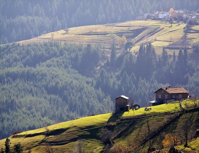 Родопи фото превью