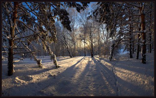 Январский вечер