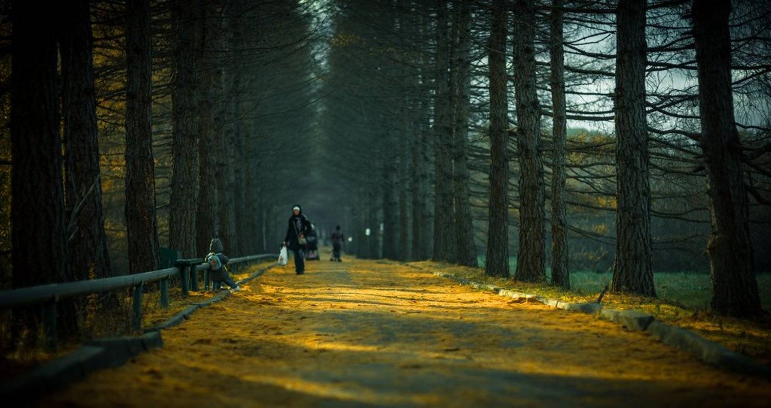 , Валерий Коновалов