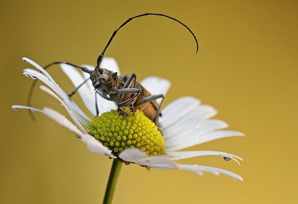 , Петрова Татьяна