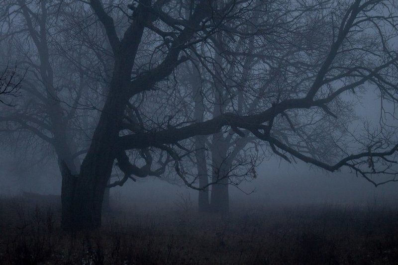 * фото превью