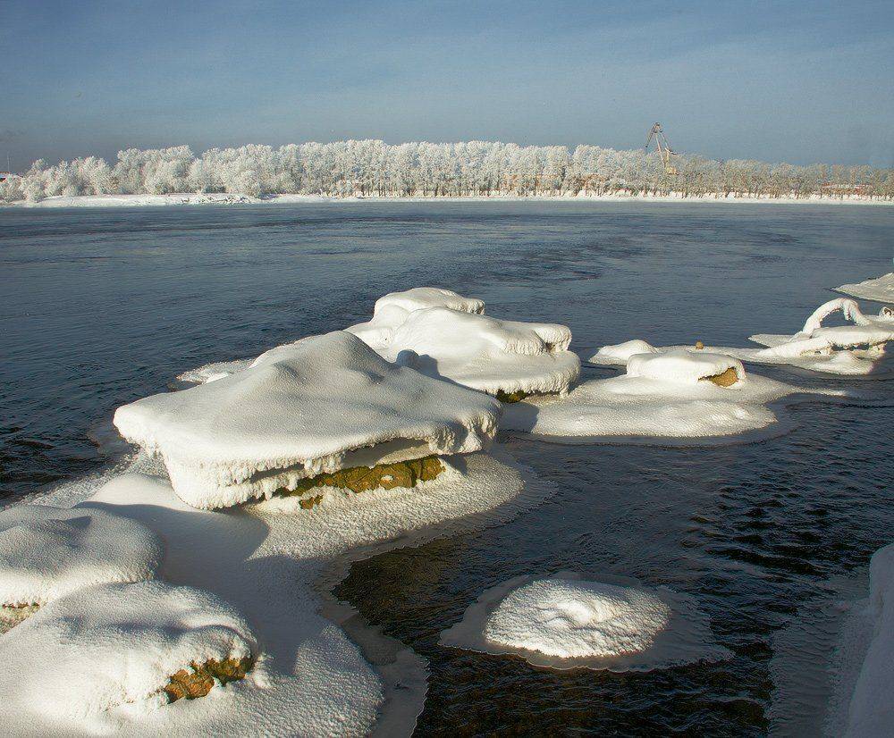 , Николай Морский