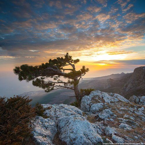 Зима на плато Ай-Петри