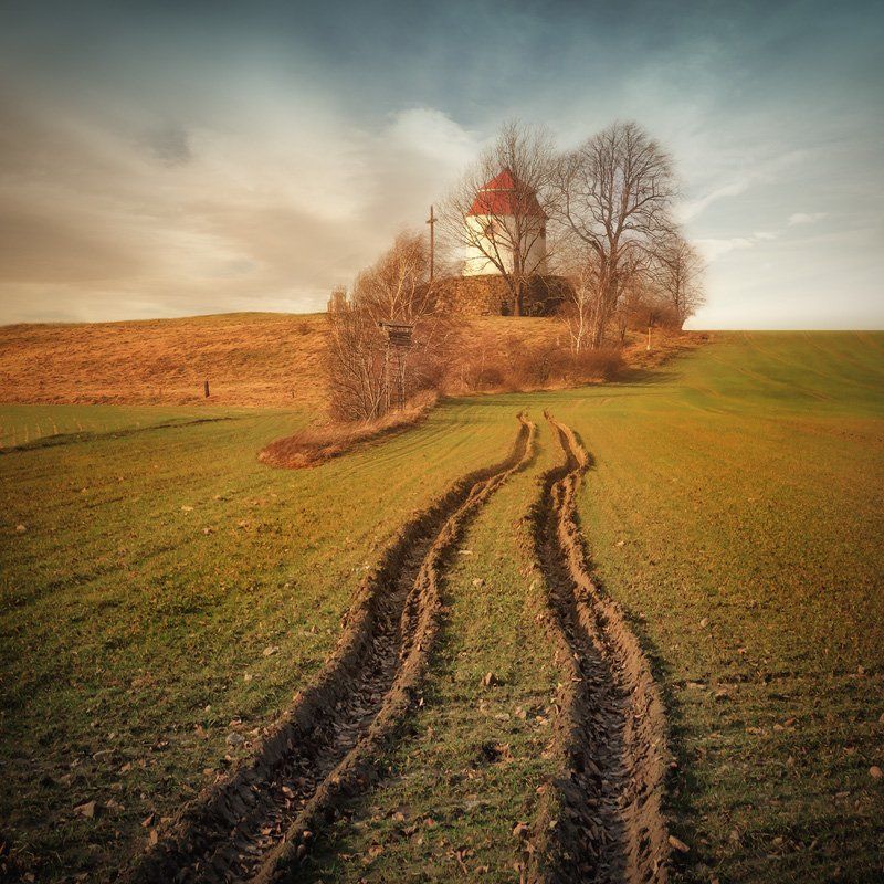 Hidden in the trees фото превью