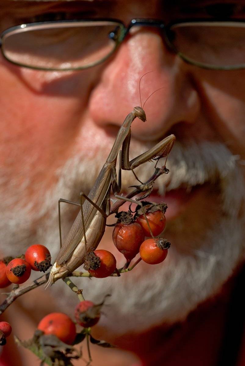 , Игорь ФУММ