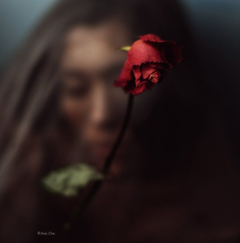 портрет, цветы, дыхание Ноктюрн фото превью