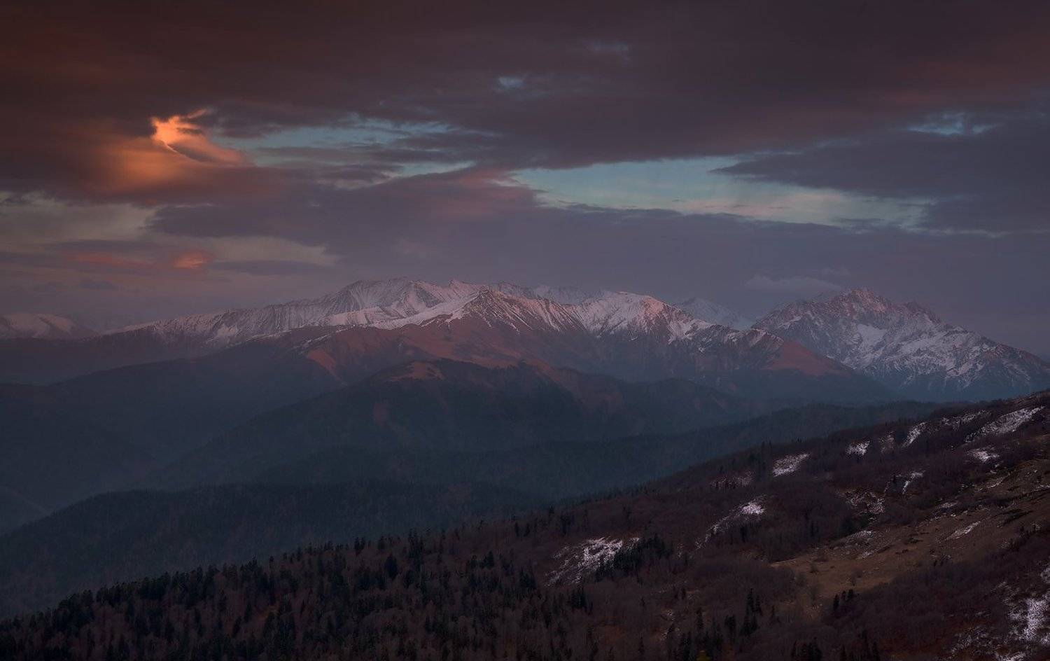 , Ирина Заграничная