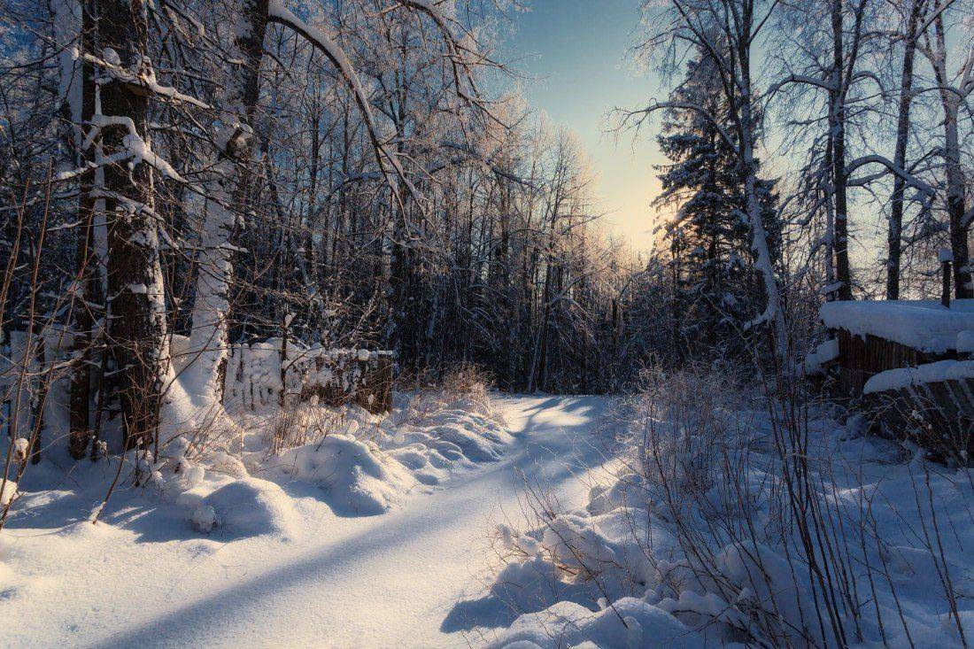 снег, сугробы, заборы, избушка, лес, шапки, солнце, тени, зима, мороз, Георгий Машковцев
