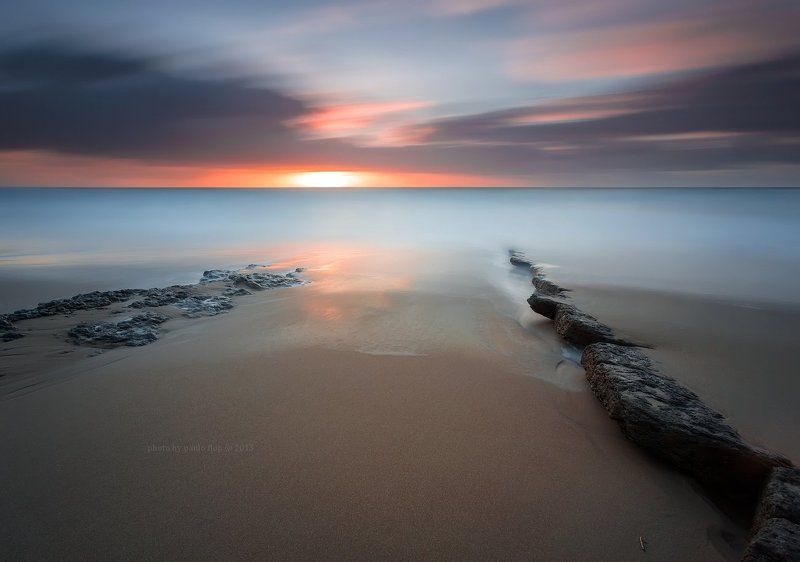 Покорность. фото превью