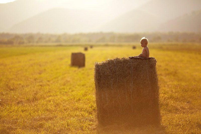 Провожая лето фото превью