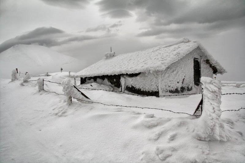 created by nature фото превью