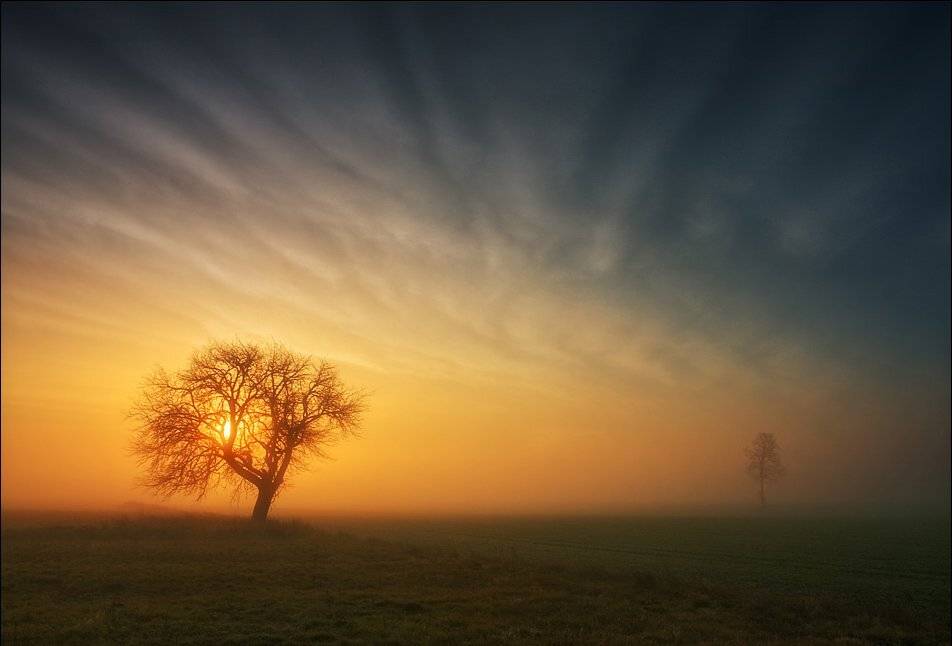 , Krzysztof Browko