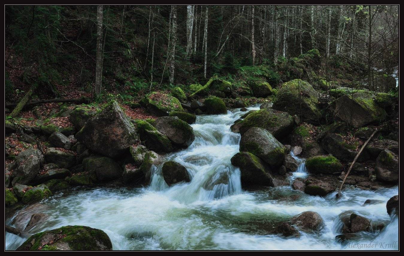 рожкао, речка, осень, лес, Александр Круль