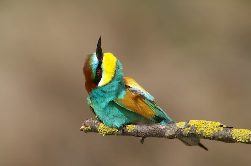 Медитация фото превью