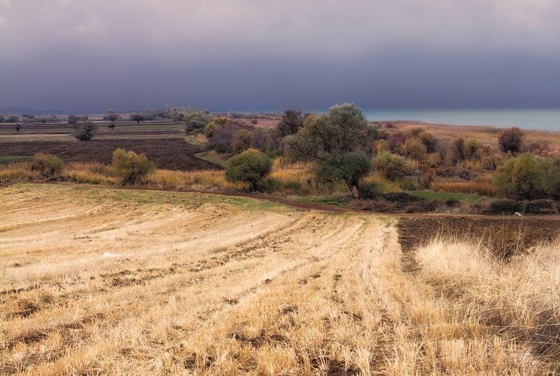 ** фото превью