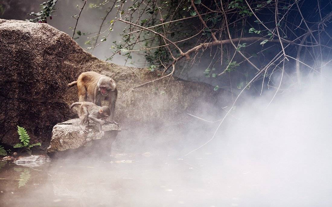 , Лола Пидлуская