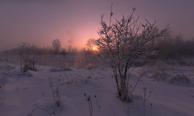 контровой свет, мороз, рассвет, туман, зима, солнце, контровой ~106~ фото превью