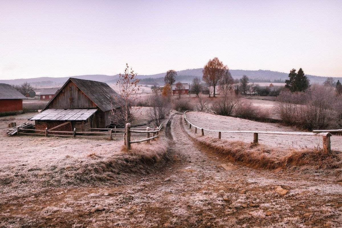карпаты, ноябрь, утро, Вейзе Максим