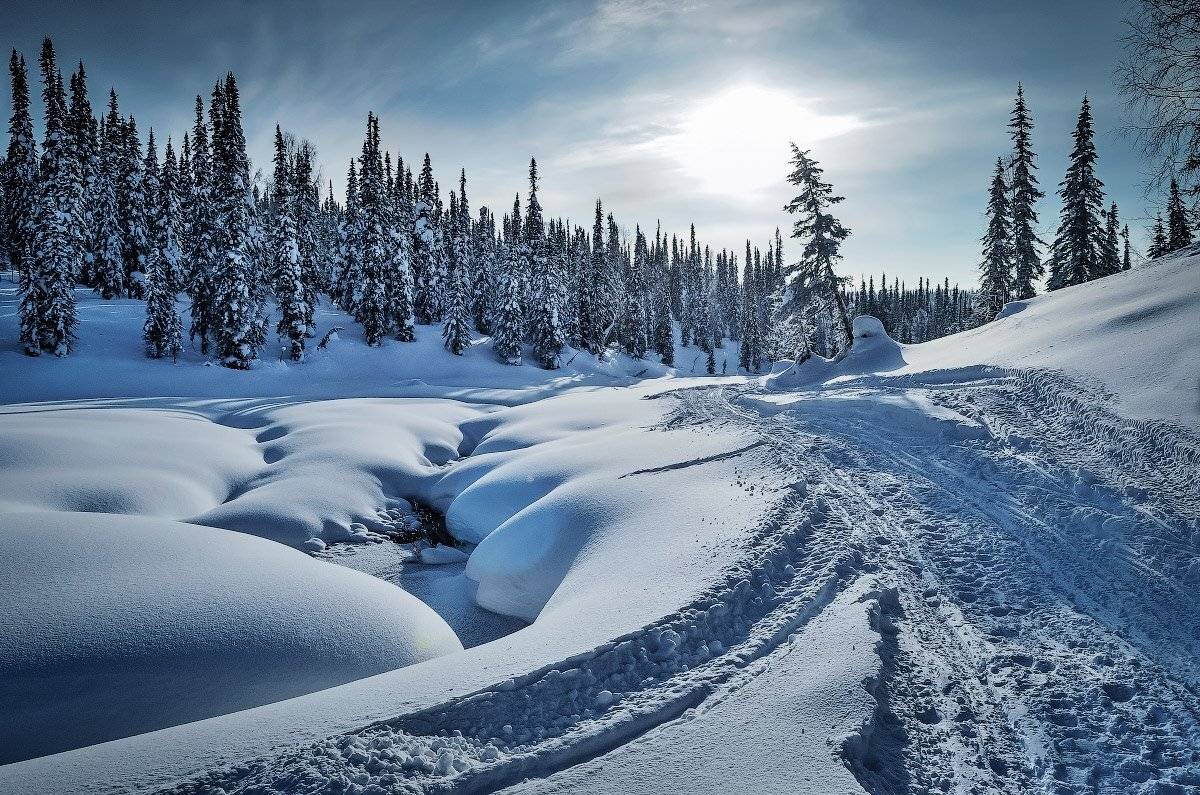 , Франчук Антон