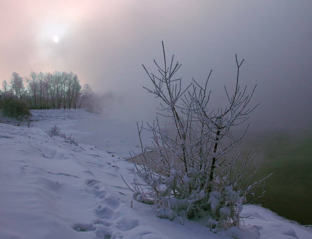 , Николай Морский