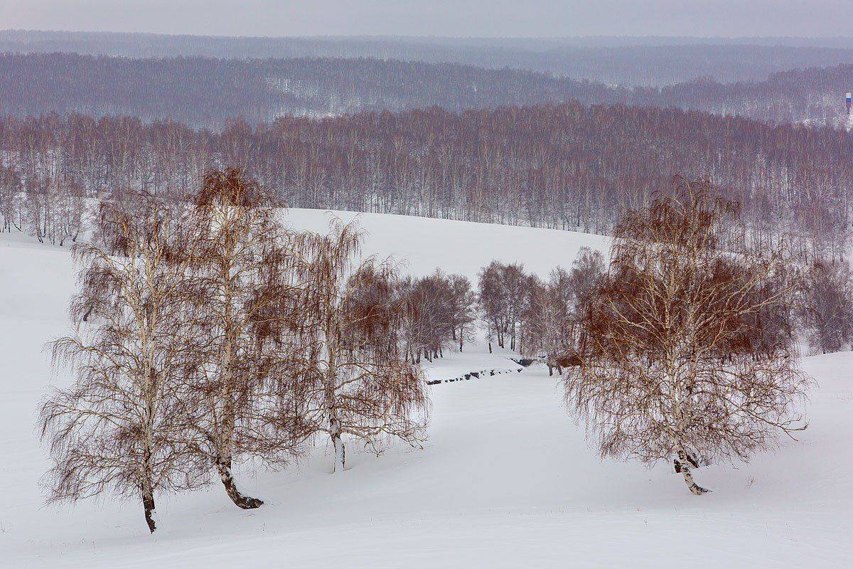 , Качурин Алексей