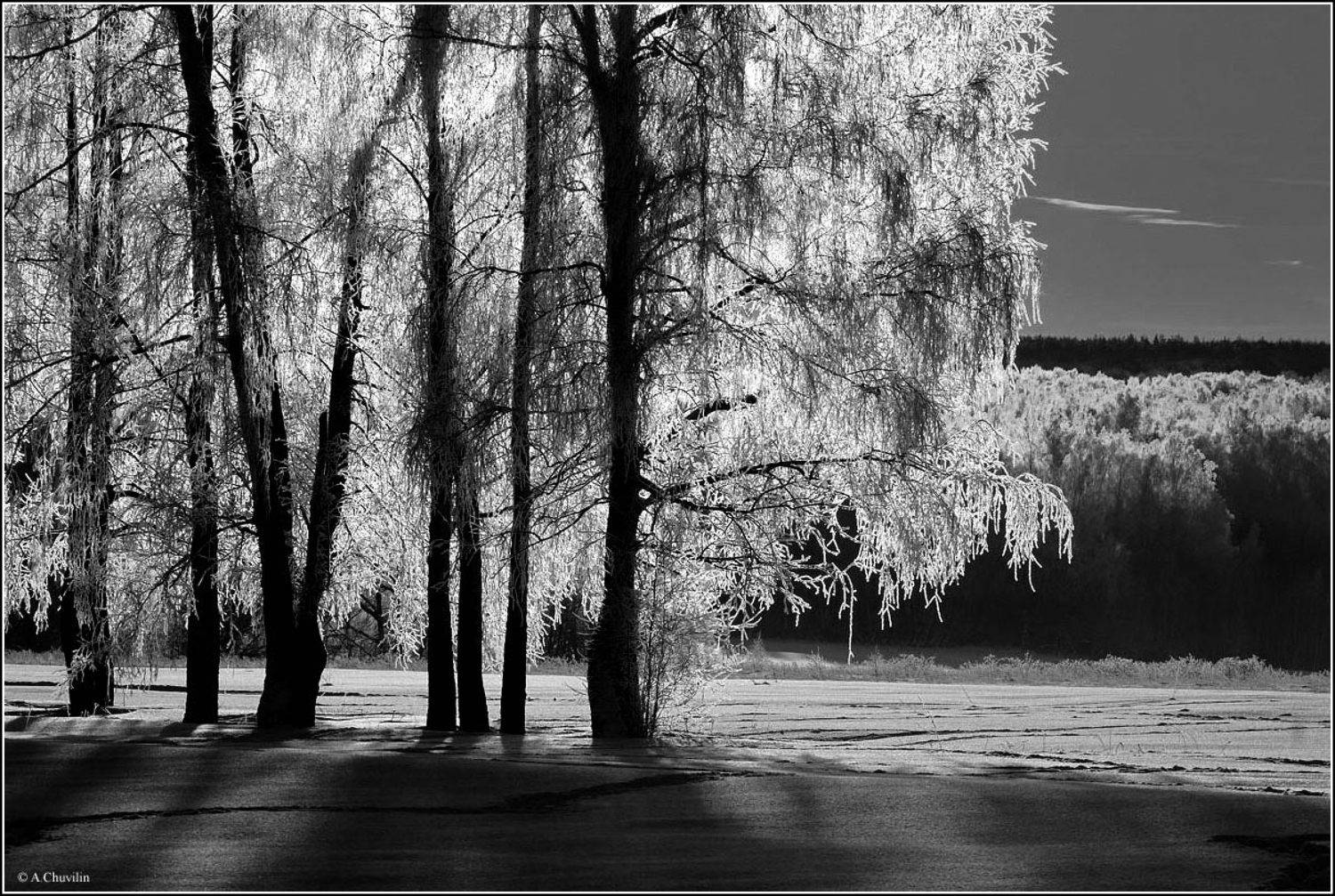 зима,январь,занавес,иней,восход, Александр Чувилин