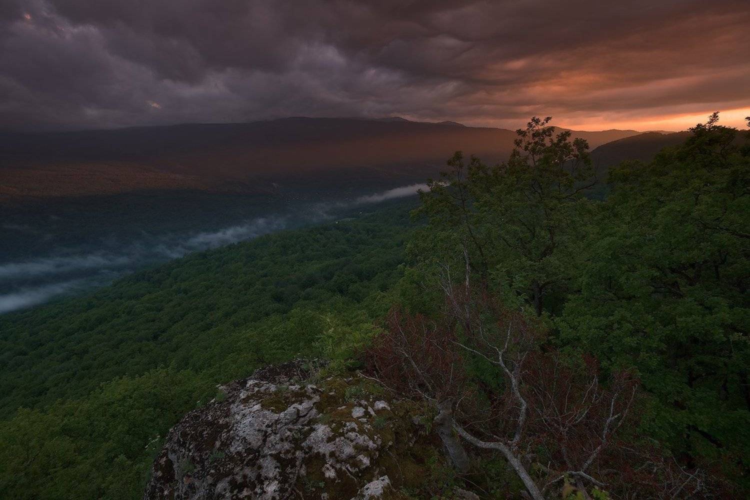 закат, мезмай, Ирина Заграничная