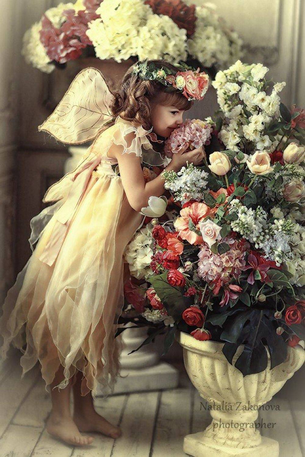 , Наталья Законова