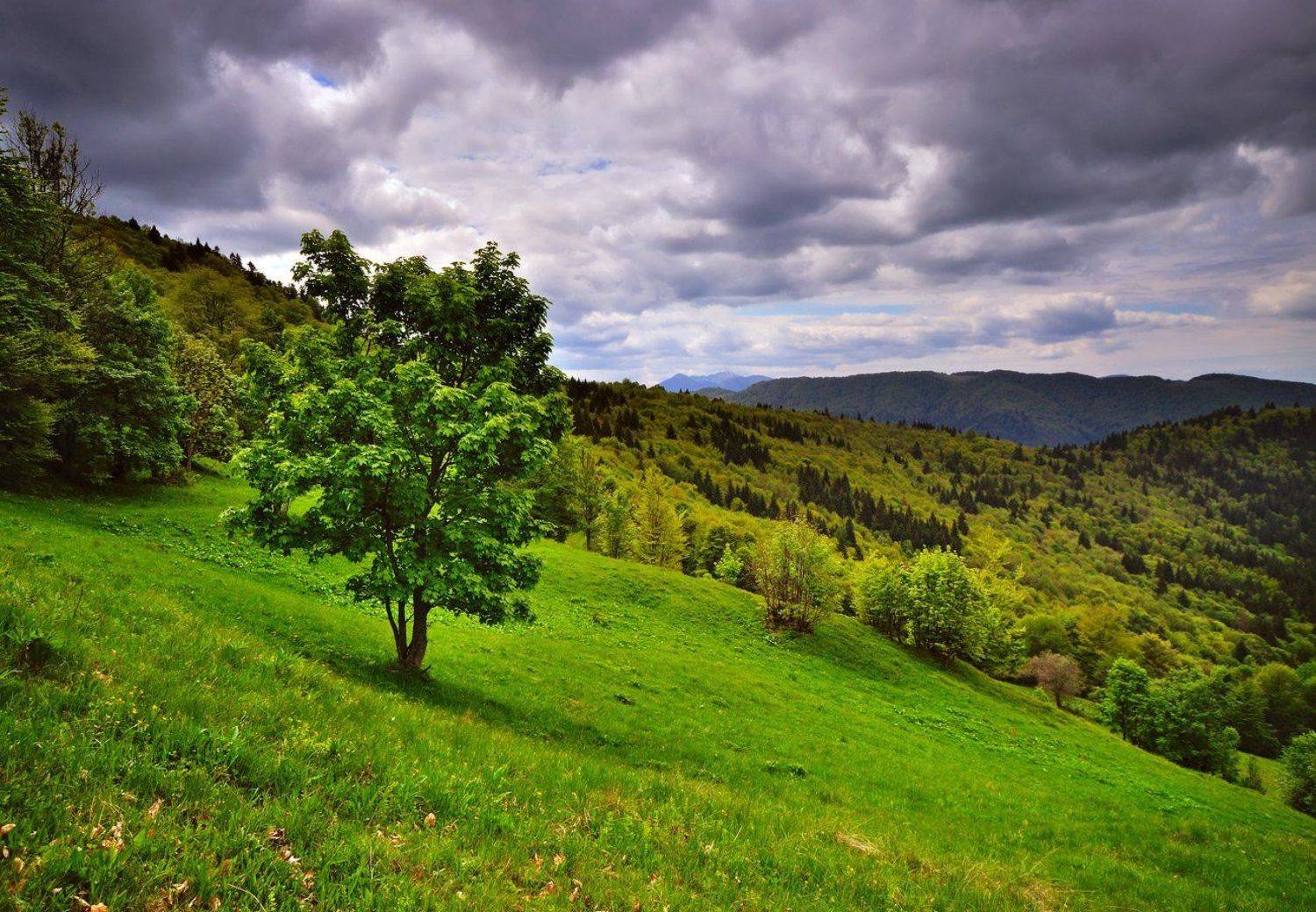 , Игорь Пастернак