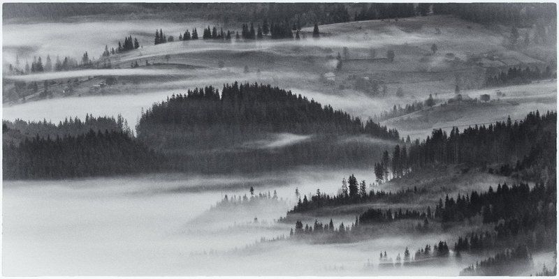 призрачная осень... фото превью