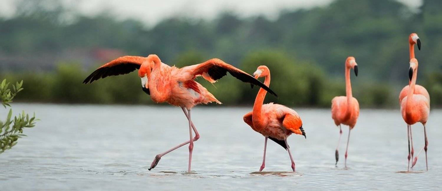 , Сергей Урядников