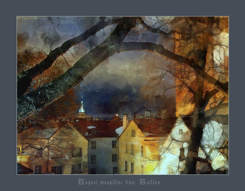 город, музыка, николай дмитрук