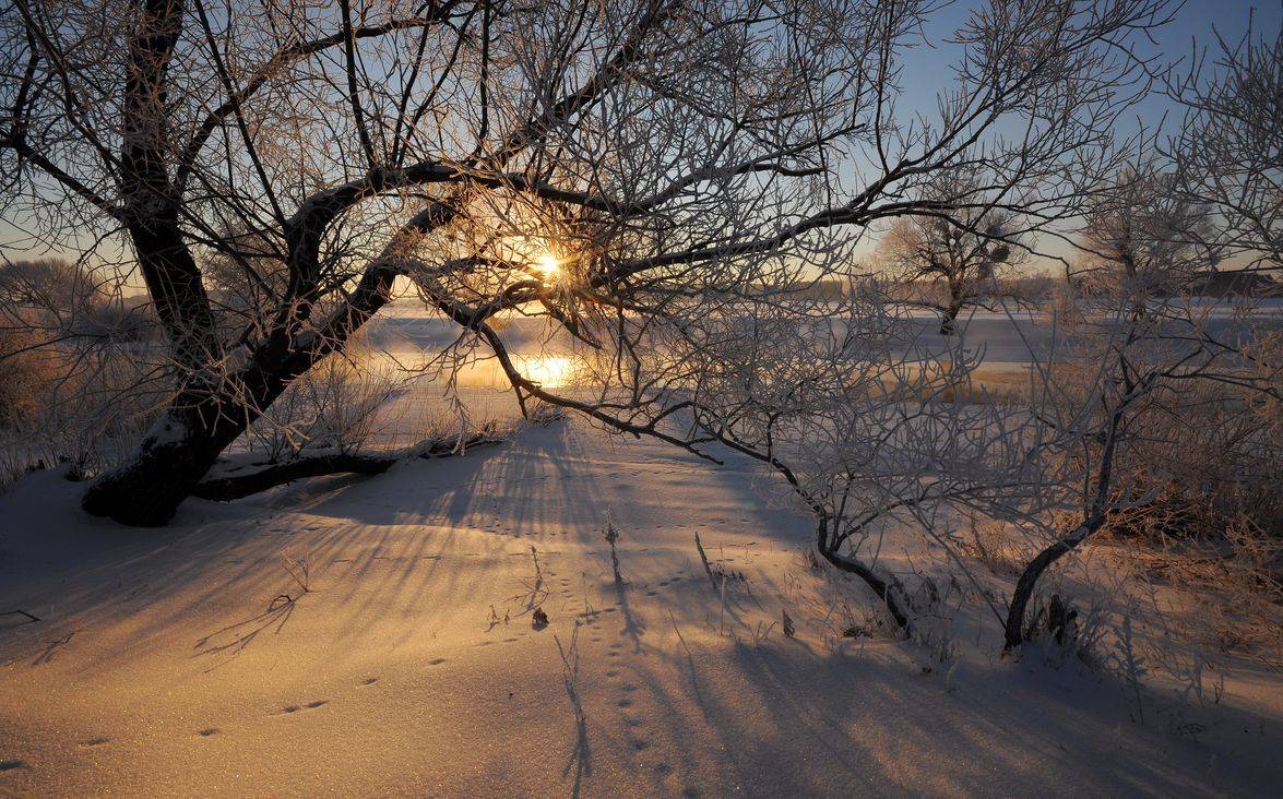 , Володимир Карчевський