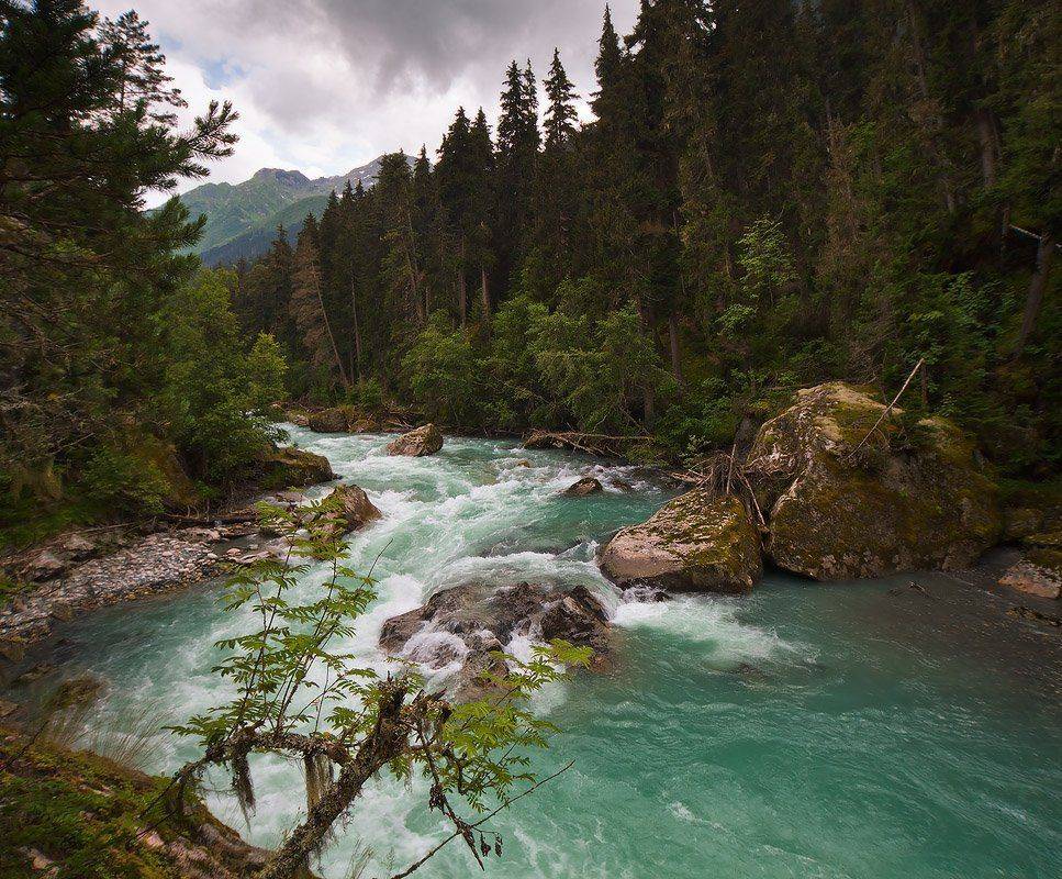 кчр, домбай, гоначхир, июль, Николай Мысливцев