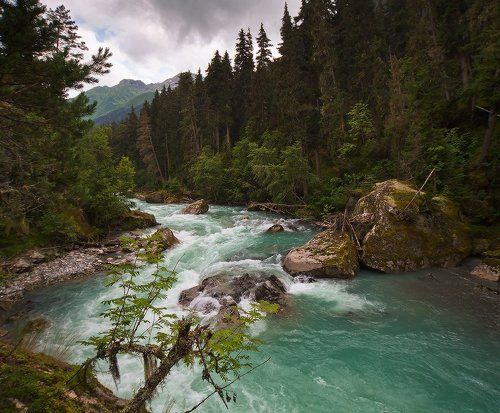 Гоначхир в июле