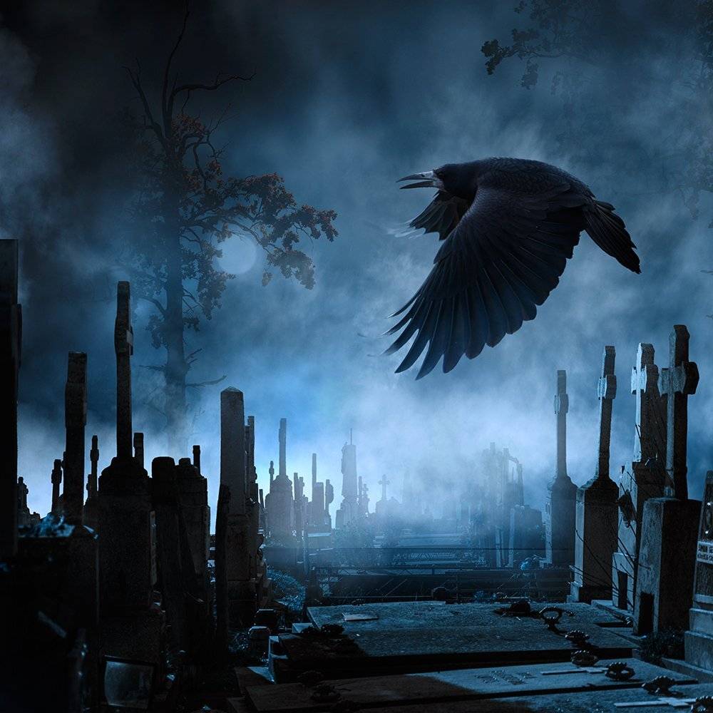 mist, fog, cold, night, dark, crow, manipulation, photoshop, psd, cementary, tutorials, Caras Ionut