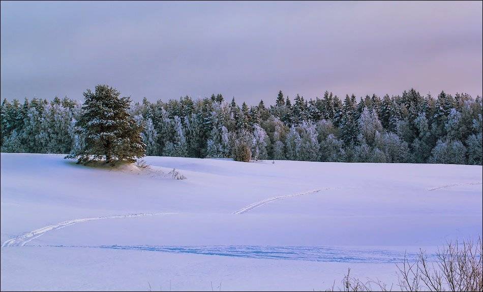 , Бурлов Андрей