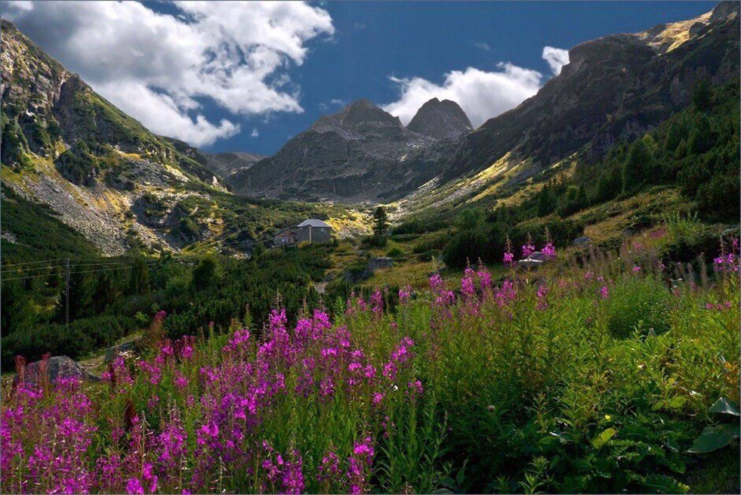 bulgaria, , rila, , maliovitsa, Svetoslav