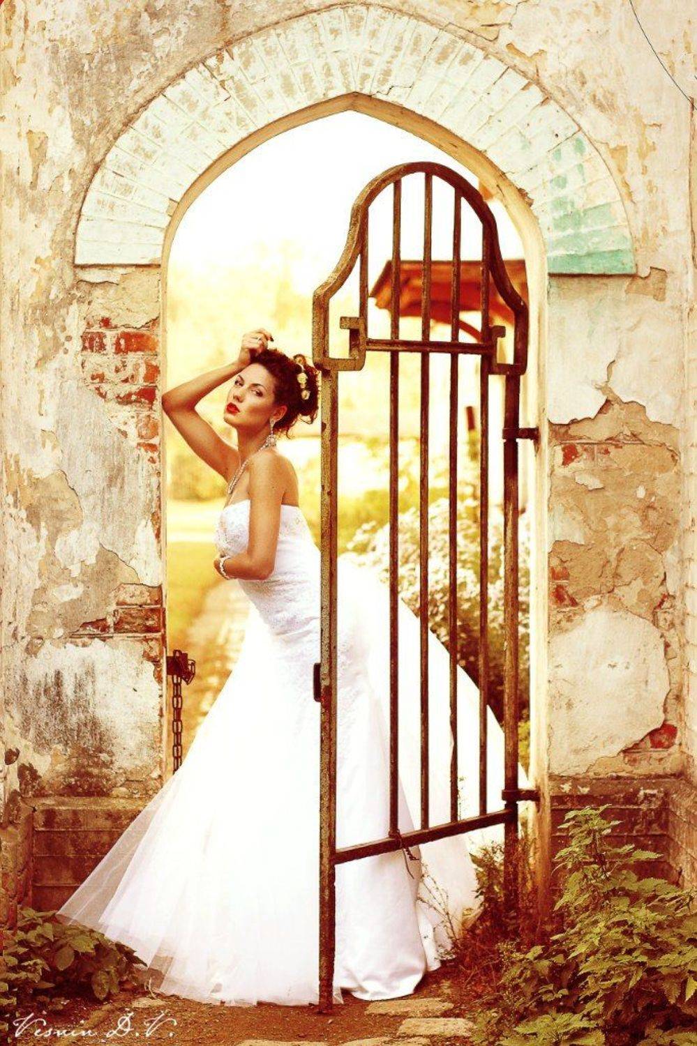 , Веснин Дмитрий