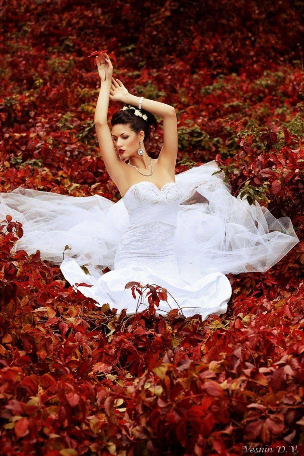 , Веснин Дмитрий