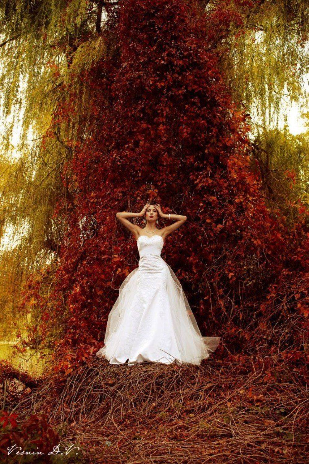 , Веснин Дмитрий