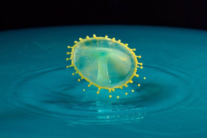 Yellow Crown фото превью