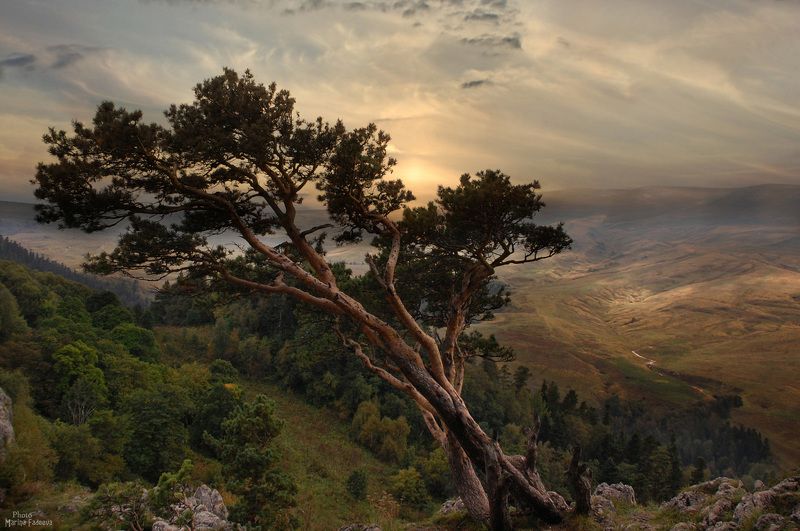 пейзаж, плато лаго-наки Плато Лаго-Наки фото превью