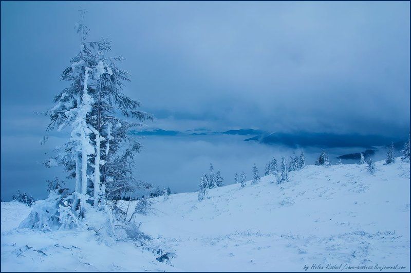Над пропастью фото превью