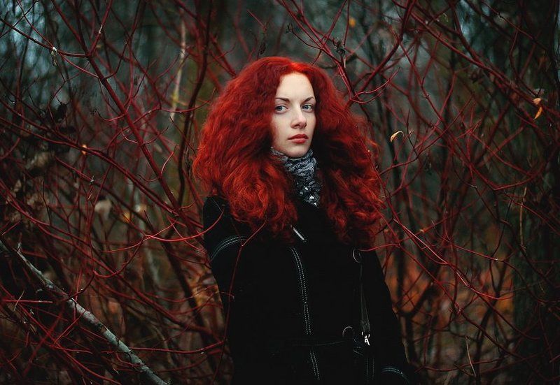 Храбрая сердцем фото превью