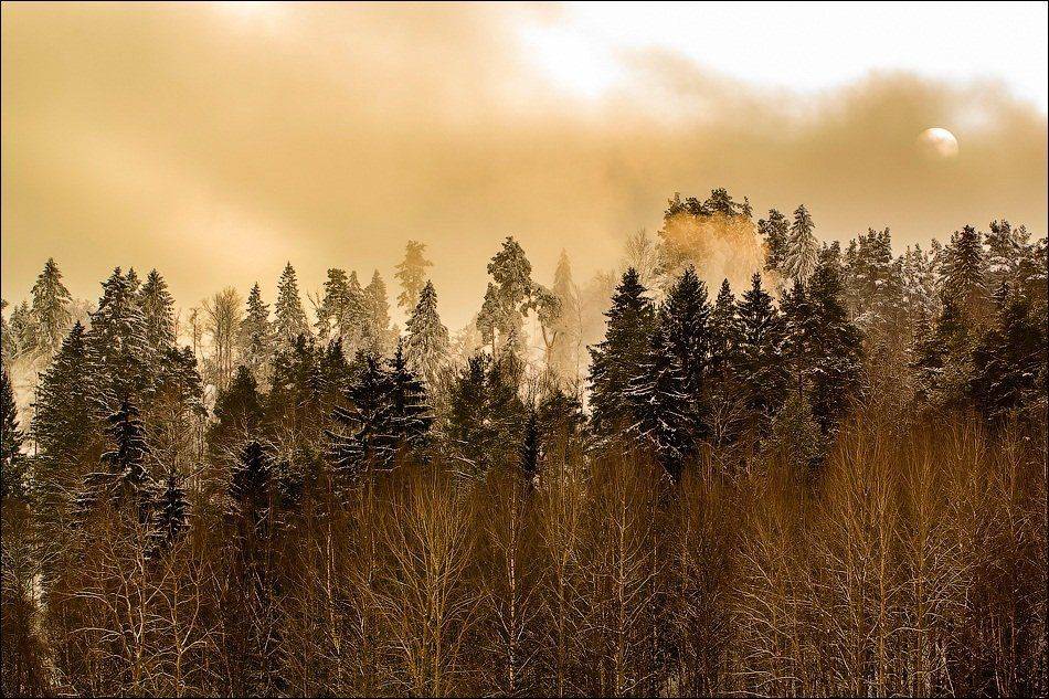 , Бурлов Андрей