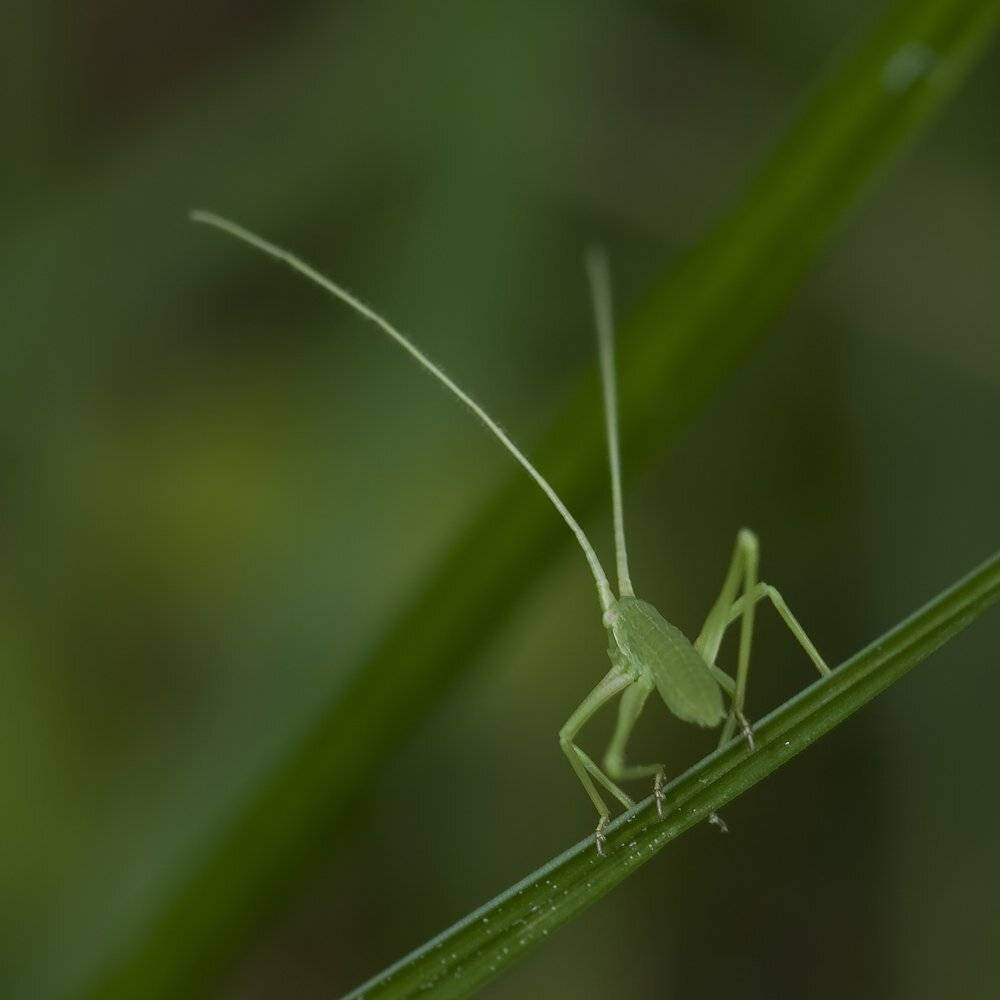 , Игорь ФУММ