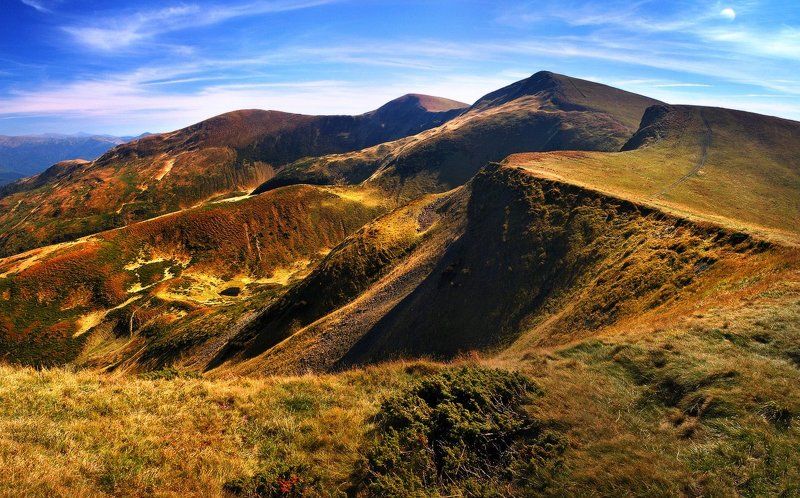 *** фото превью