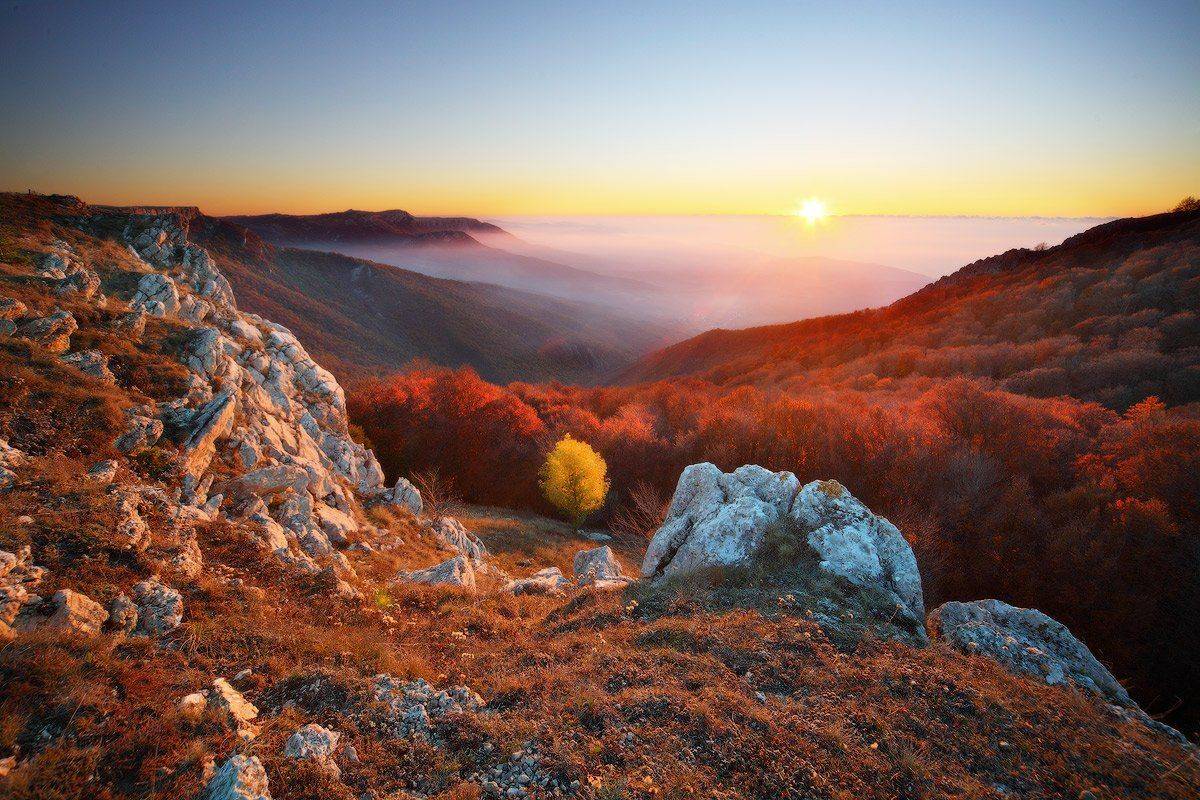 , Михаил Псарёв